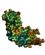 Gen de la NF1