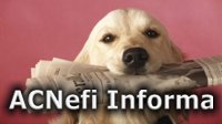 Ir a ACNefi Informa