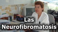 Ir a Las Neurofibromatosis