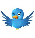 S�guenos en Twitter