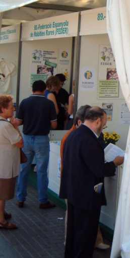 Vista del estand de la feria