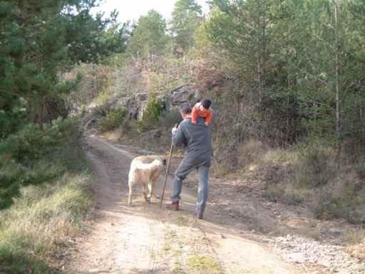Un paseo al dia siguiente